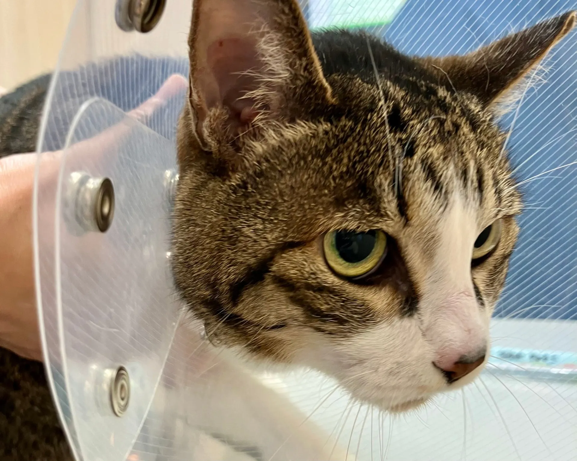 お久しぶりです。今年もこの季節❤