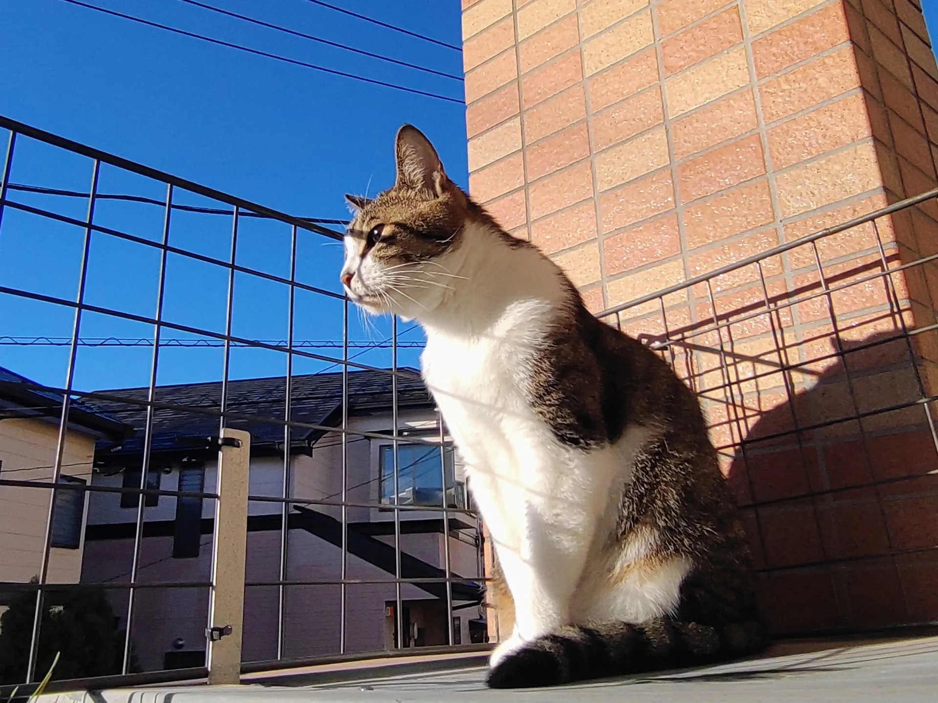 予約システム不具合のお詫びとご報告